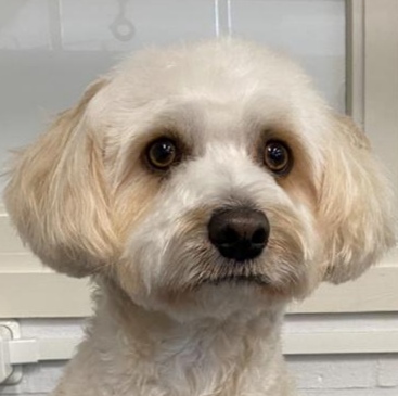 whatsapp image 2026 04 16 at 12.53.07