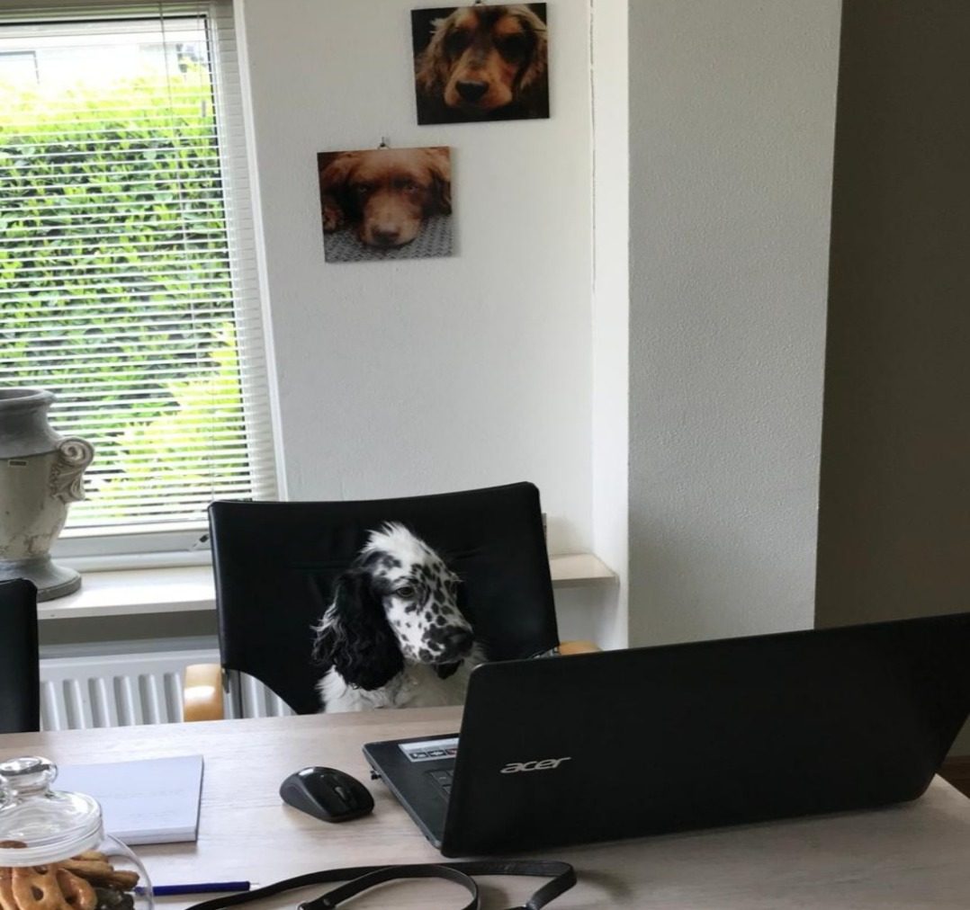 whatsapp image 2026 03 31 at 10.26.15 formaat gewijzigd naar 1078x1012